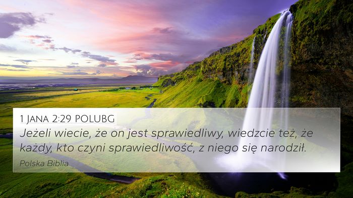 1 Jana 2:29 POLUBG Bible Verse Image
