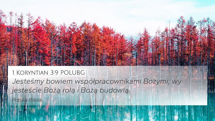 1 Koryntian 3:9 POLUBG Bible Verse Image