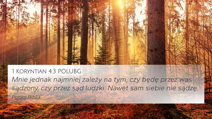 1 Koryntian 4:3 POLUBG Bible Verse Image