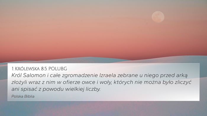 1 Królewska 8:5 POLUBG Bible Verse Image