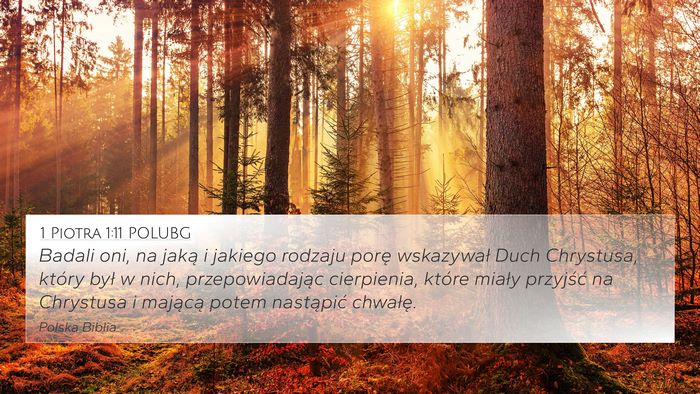 1 Piotra 1:11 POLUBG Bible Verse Image