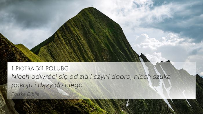 1 Piotra 3:11 POLUBG 4K Wallpaper - Niech odwróci się od zła i czyni dobro, niech - 4K Wallpaper Bible Verse