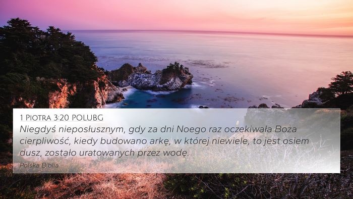 1 Piotra 3:20 POLUBG Bible Verse Image