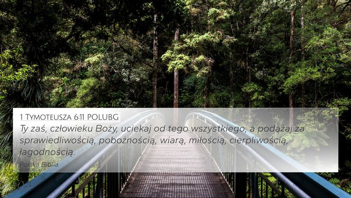 1 Tymoteusza 6:11 POLUBG Bible Verse Image
