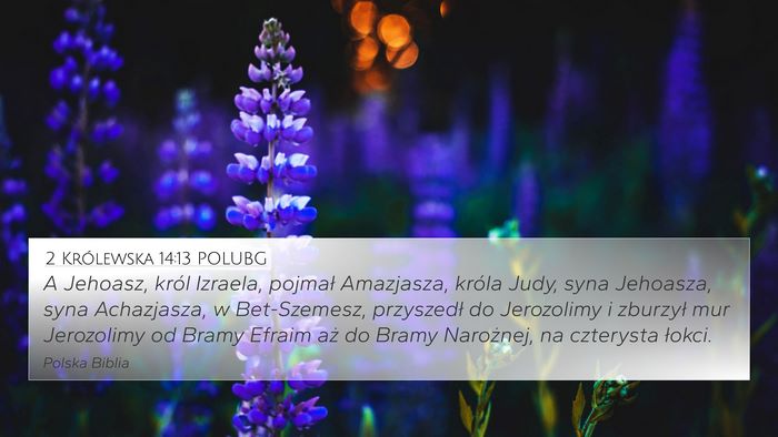 2 Królewska 14:13 POLUBG Bible Verse Image