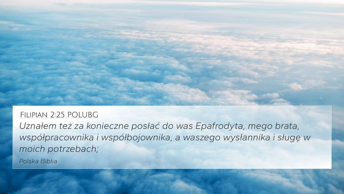 Filipian 2:25 POLUBG Bible Verse Image
