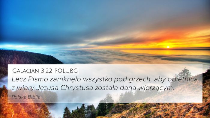 Galacjan 3:22 POLUBG Bible Verse Image