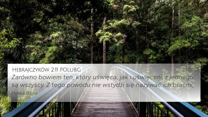 Hebrajczyków 2:11 POLUBG Bible Verse Image