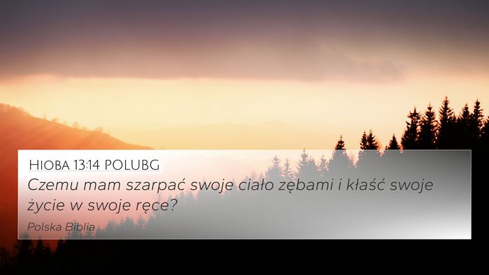 Hioba 13:14 POLUBG Bible Verse Image