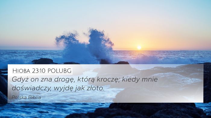 Hioba 23:10 POLUBG Bible Verse Image
