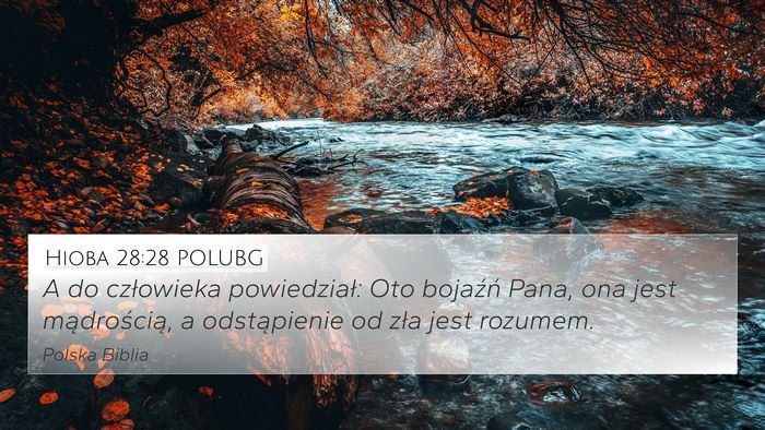 Hioba 28:28 POLUBG Bible Verse Image