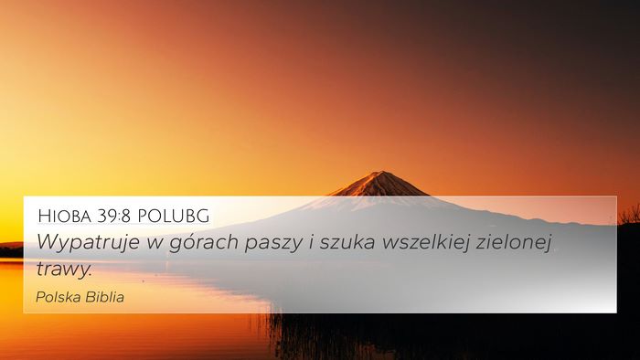 Hioba 39:8 POLUBG 4K Wallpaper - Wypatruje w górach paszy i szuka wszelkiej - 4K Wallpaper Bible Verse