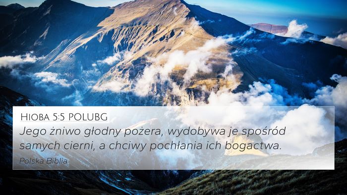 Hioba 5:5 POLUBG Bible Verse Image