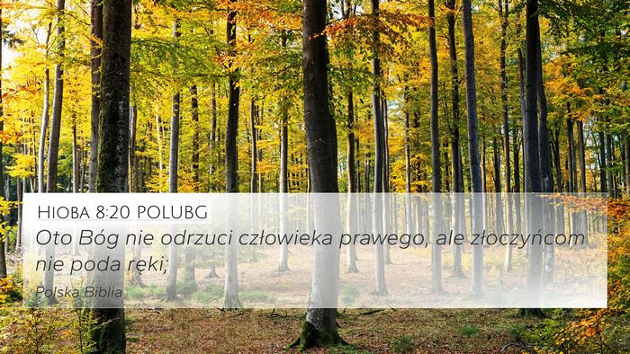 Hioba 8:20 POLUBG Bible Verse Image