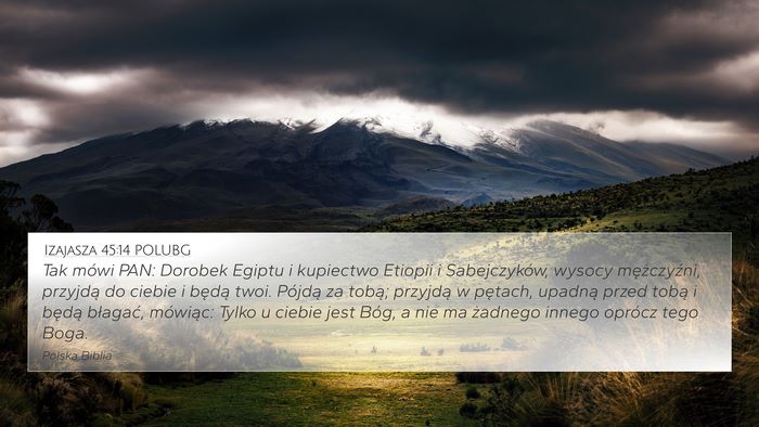 Izajasza 45:14 POLUBG Bible Verse Image