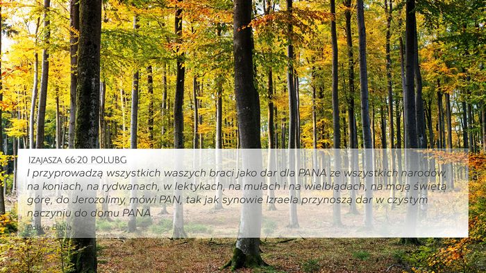 Izajasza 66:20 POLUBG Bible Verse Image