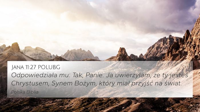 Jana 11:27 POLUBG Bible Verse Image