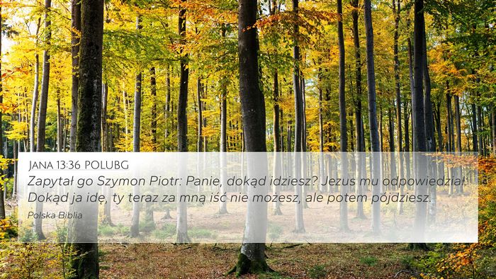 Jana 13:36 POLUBG Bible Verse Image
