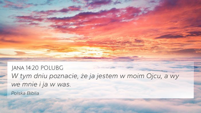 Jana 14:20 POLUBG Bible Verse Image
