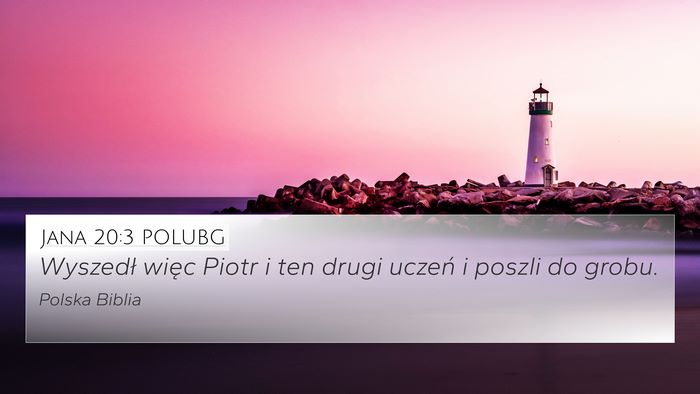 Jana 20:3 POLUBG Bible Verse Image