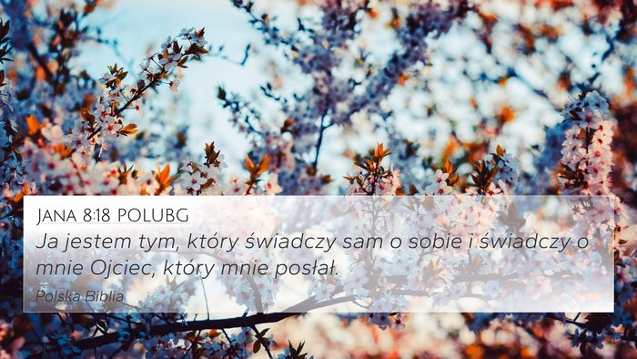 Jana 8:18 POLUBG 4K Wallpaper - Ja jestem tym, który świadczy sam o sobie i - 4K Wallpaper Bible Verse