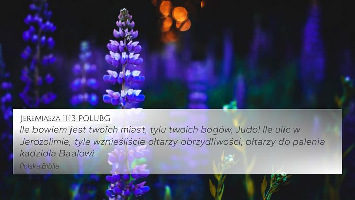 Jeremiasza 11:13 POLUBG Bible Verse Image