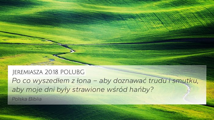 Jeremiasza 20:18 POLUBG 4K Wallpaper - Po co wyszedłem z łona – aby doznawać trudu - 4K Wallpaper Bible Verse