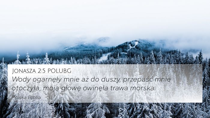 Jonasza 2:5 POLUBG 4K Wallpaper - Wody ogarnęły mnie aż do duszy, przepaść - 4K Wallpaper Bible Verse