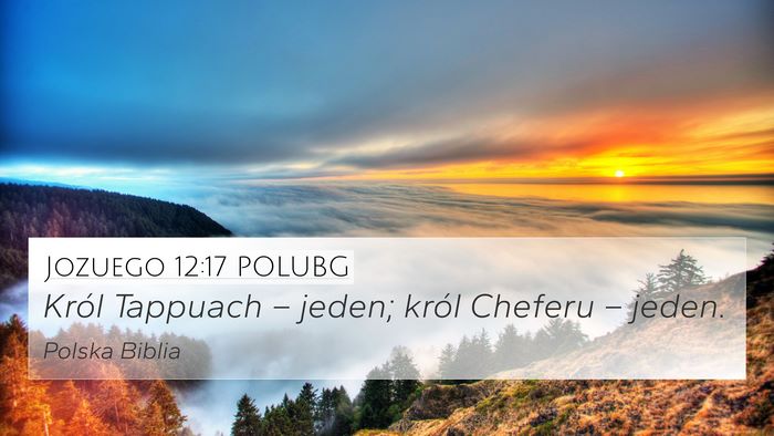 Jozuego 12:17 POLUBG Bible Verse Image