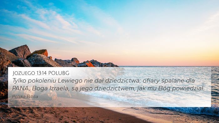 Jozuego 13:14 POLUBG Bible Verse Image