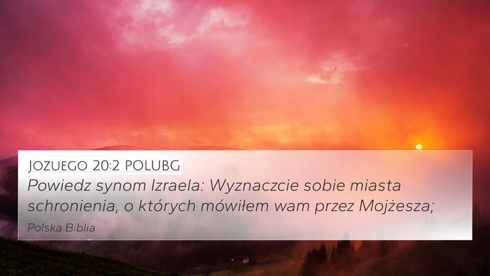Jozuego 20:2 POLUBG Bible Verse Image
