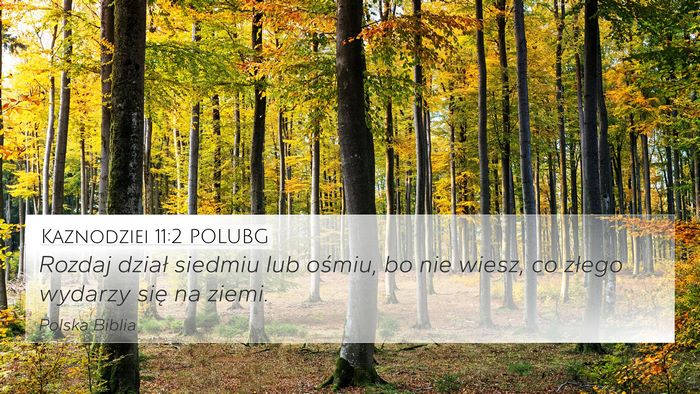 Kaznodziei 11:2 POLUBG 4K Wallpaper - Rozdaj dział siedmiu lub ośmiu, bo nie wiesz, - 4K Wallpaper Bible Verse