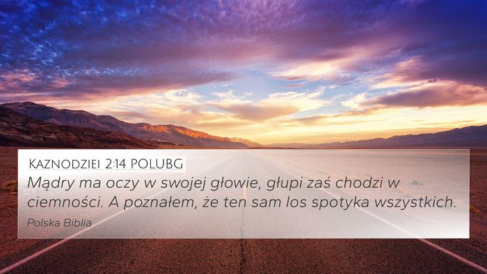 Kaznodziei 2:14 POLUBG Bible Verse Image