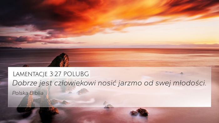Lamentacje 3:27 POLUBG Bible Verse Image