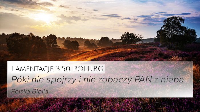 Lamentacje 3:50 POLUBG Bible Verse Image