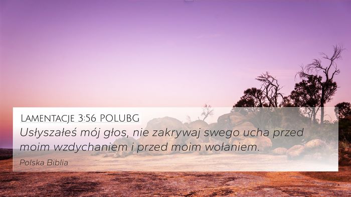 Lamentacje 3:56 POLUBG 4K Wallpaper - Usłyszałeś mój głos, nie zakrywaj swego ucha - 4K Wallpaper Bible Verse