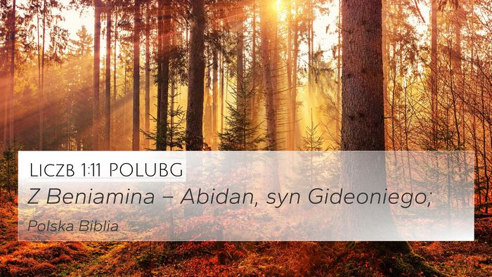 Liczb 1:11 POLUBG 4K Wallpaper - Z Beniamina – Abidan, syn - 4K Wallpaper Bible Verse