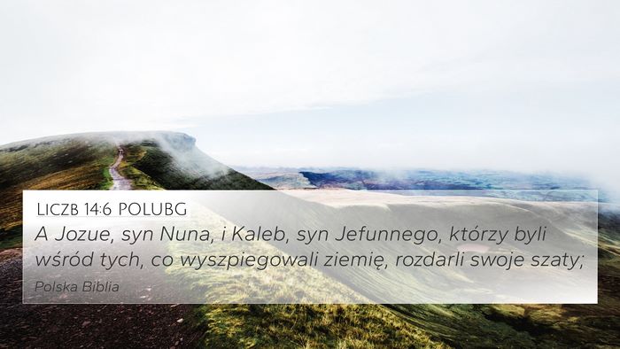 Liczb 14:6 POLUBG Bible Verse Image