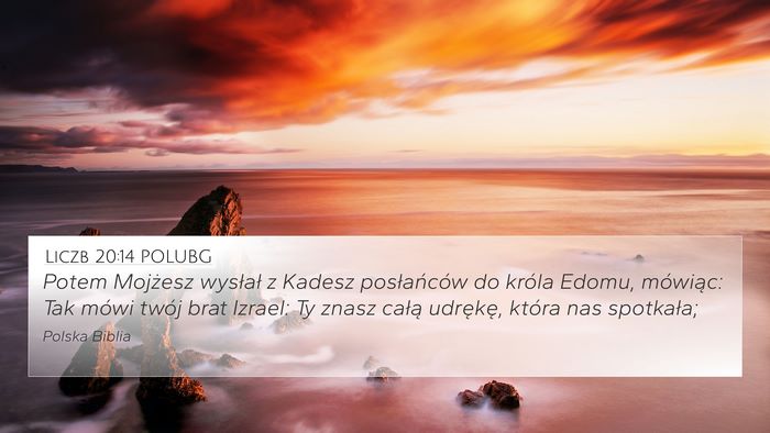 Liczb 20:14 POLUBG Bible Verse Image