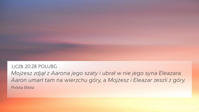 Liczb 20:28 POLUBG Bible Verse Image