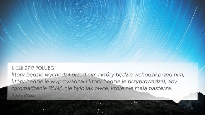 Liczb 27:17 POLUBG 4K Wallpaper - Który będzie wychodził przed nim i który - 4K Wallpaper Bible Verse