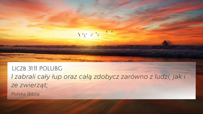Liczb 31:11 POLUBG Bible Verse Image