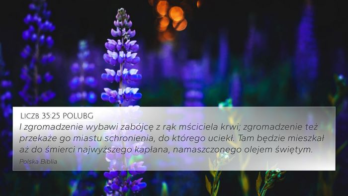 Liczb 35:25 POLUBG 4K Wallpaper - I zgromadzenie wybawi zabójcę z rąk mściciela - 4K Wallpaper Bible Verse