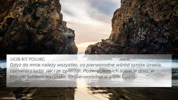Liczb 8:17 POLUBG Bible Verse Image