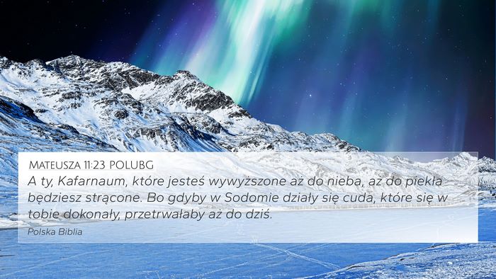 Mateusza 11:23 POLUBG Bible Verse Image