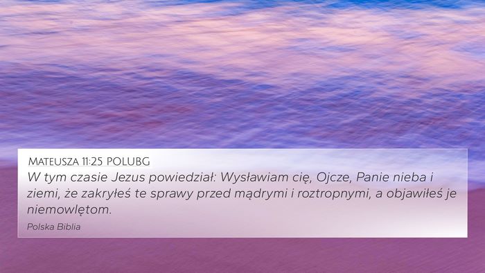 Mateusza 11:25 POLUBG Bible Verse Image