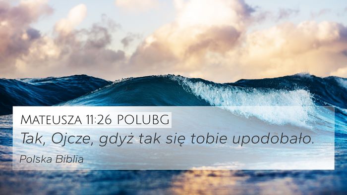 Mateusza 11:26 POLUBG Bible Verse Image