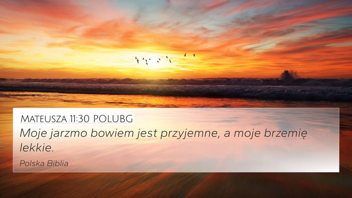 Mateusza 11:30 POLUBG Bible Verse Image