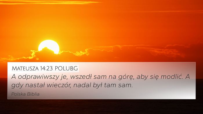 Mateusza 14:23 POLUBG Bible Verse Image