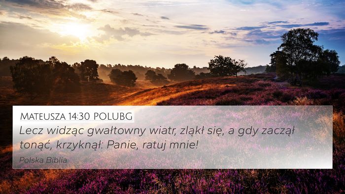 Mateusza 14:30 POLUBG Bible Verse Image